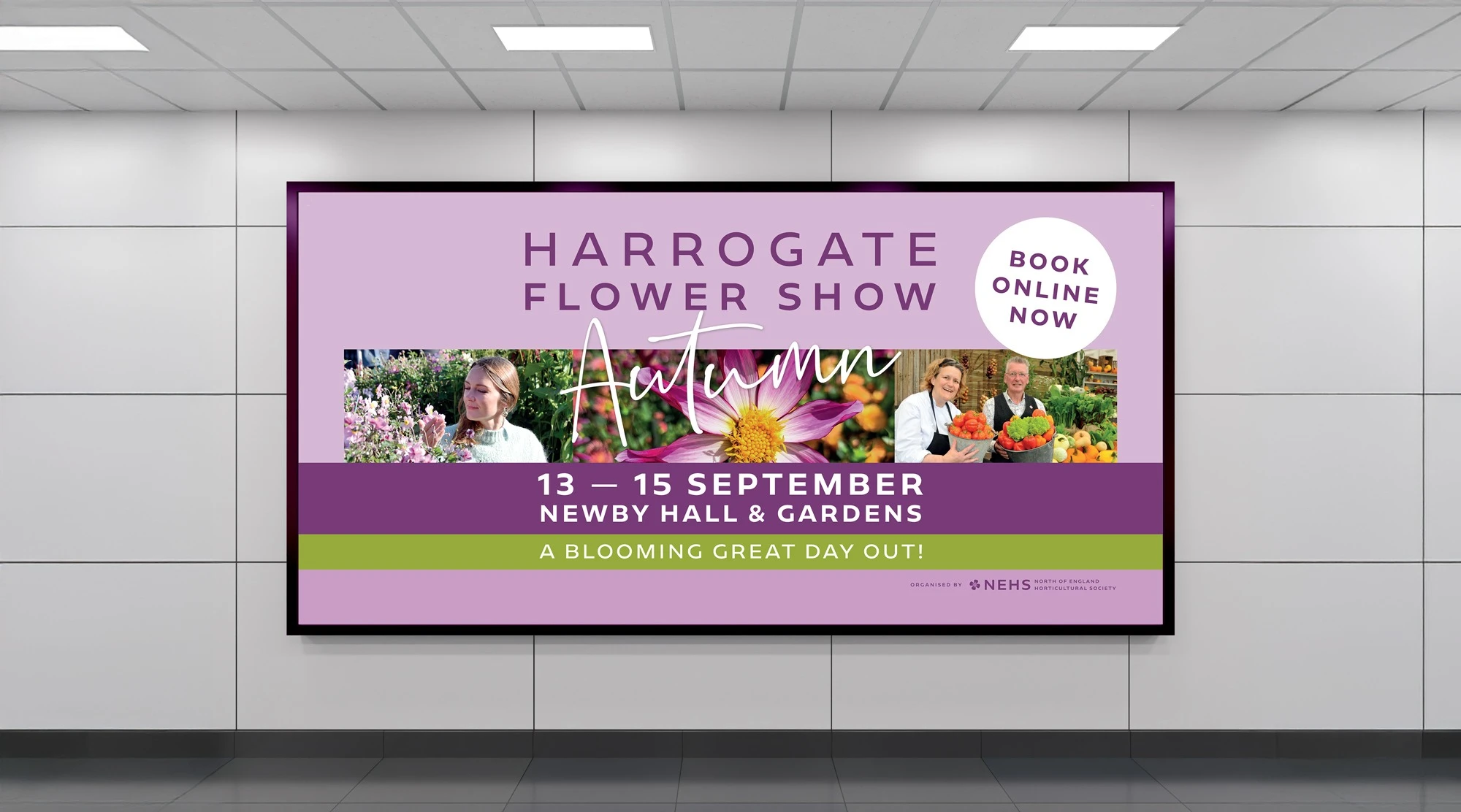 Harrogate Flowershow Digital Ad
